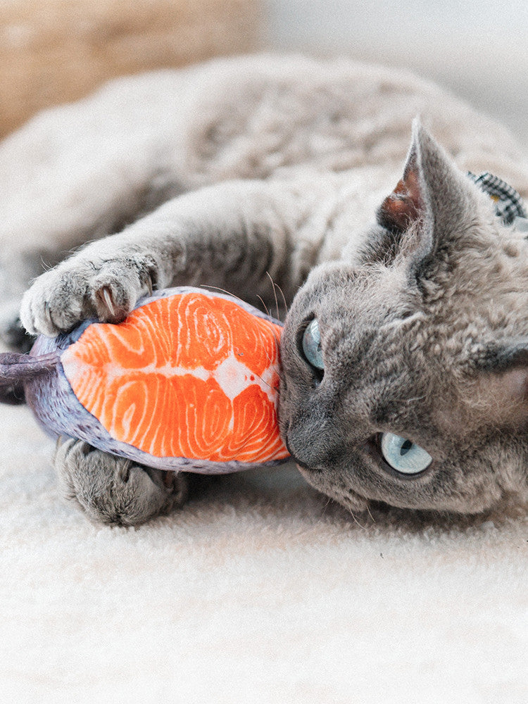 Cat Toy Ocean Small Fish Dried Wasabi Sushi With Catnip